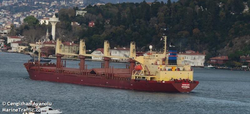 sword lion (Bulk Carrier) - IMO 9136785, MMSI 271050524, Call Sign TCA7128 under the flag of Turkey