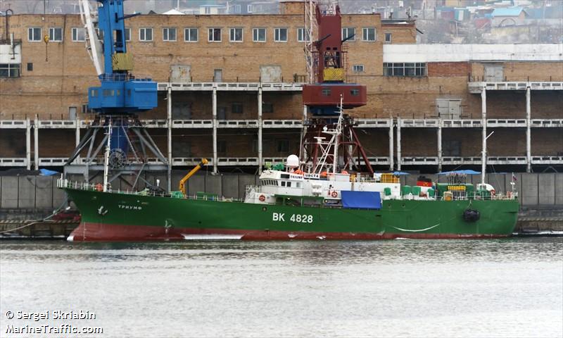 triumf (Fishing Vessel) - IMO 9047934, MMSI 273211810, Call Sign UBCT4 under the flag of Russia