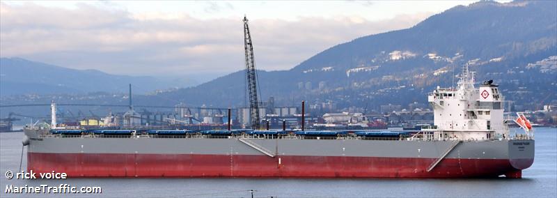 progress trader (Bulk Carrier) - IMO 9936769, MMSI 352001703, Call Sign 3E2722 under the flag of Panama