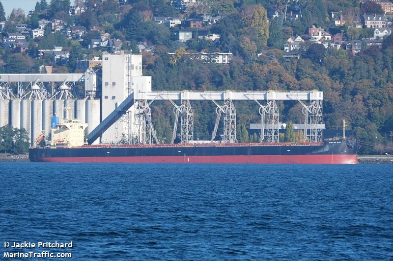 sterling saga (Bulk Carrier) - IMO 9652507, MMSI 256221000, Call Sign 9HA5749 under the flag of Malta