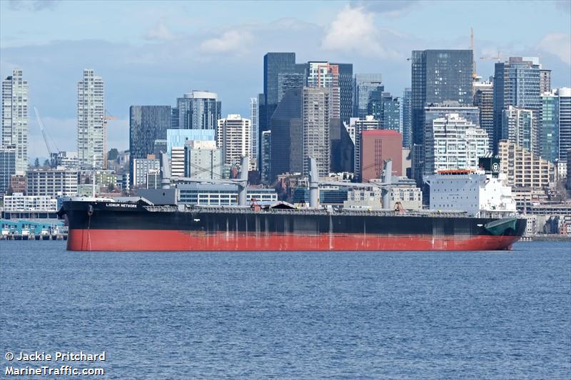 lignum network (Bulk Carrier) - IMO 9942811, MMSI 563160300, Call Sign 9V7572 under the flag of Singapore