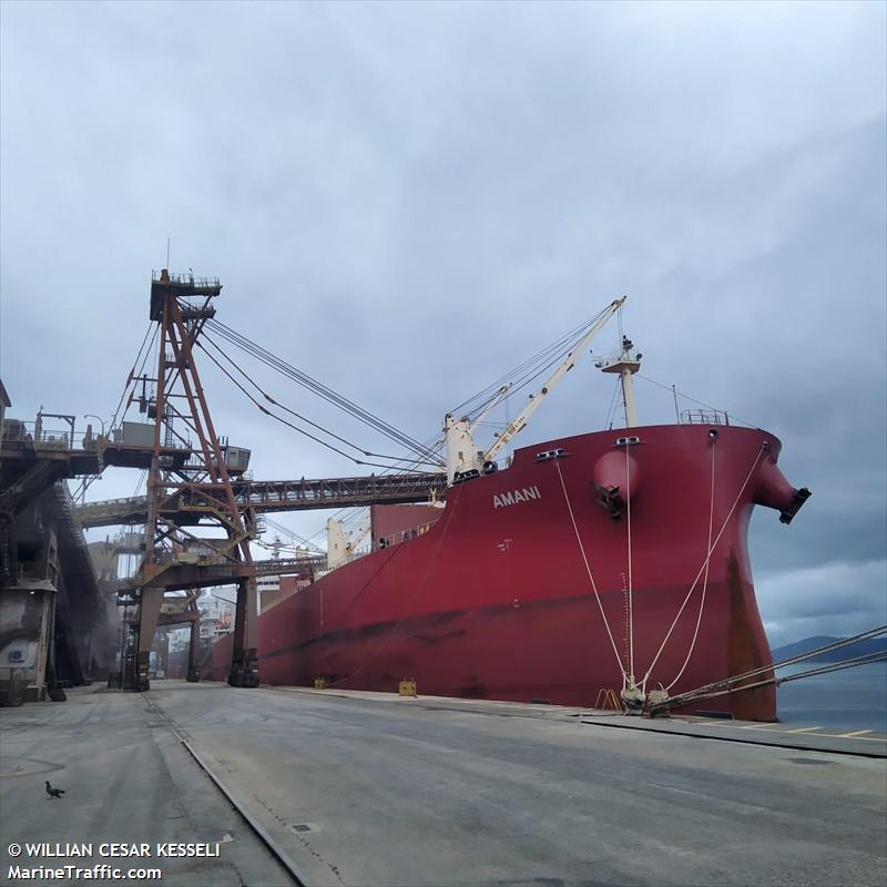 amani (Bulk Carrier) - IMO 9729910, MMSI 563172800, Call Sign 9V8361 under the flag of Singapore