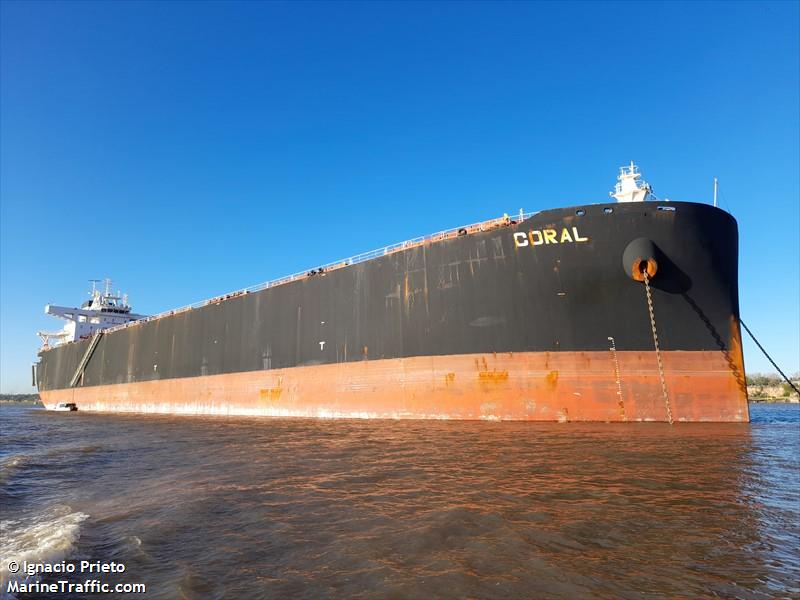 coral (Wood Chips Carrier) - IMO 9861471, MMSI 563169500, Call Sign 9V8224 under the flag of Singapore