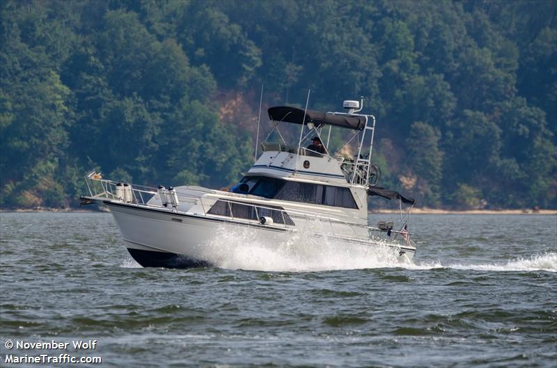 sanguine (Pleasure craft) - IMO , MMSI 338108591 under the flag of USA