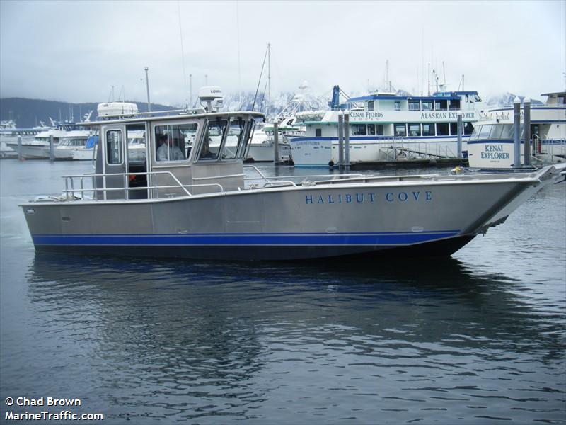 halibut cove (Pleasure craft) - IMO , MMSI 338211844 under the flag of USA