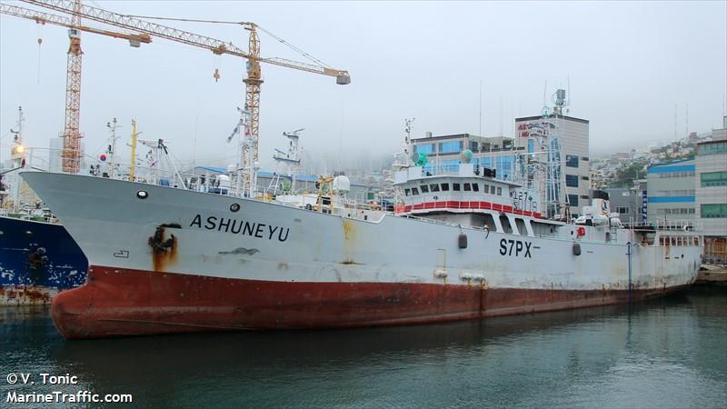 arka-31 (Fishing Vessel) - IMO 8661173, MMSI 273611930, Call Sign UBYX6 under the flag of Russia