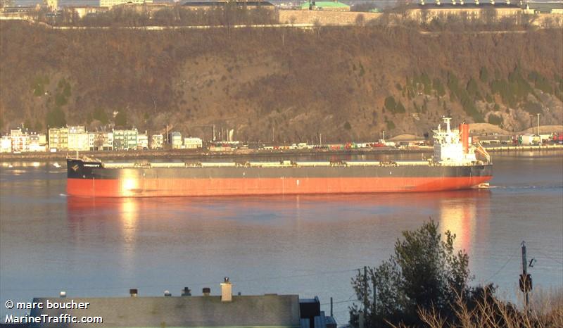 longevity (Bulk Carrier) - IMO 9582520, MMSI 636022018, Call Sign 5LGU4 under the flag of Liberia