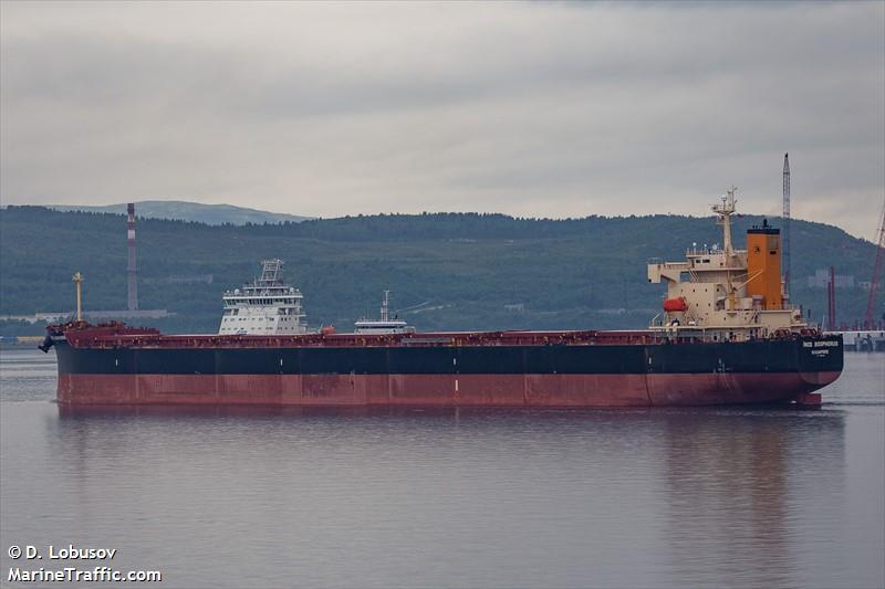 ince bosphorus (Bulk Carrier) - IMO 9354844, MMSI 563174500, Call Sign 9V8523 under the flag of Singapore