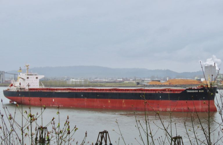 troodos sun (Bulk Carrier) - IMO 9698238, MMSI 212719000, Call Sign 5BKB4 under the flag of Cyprus