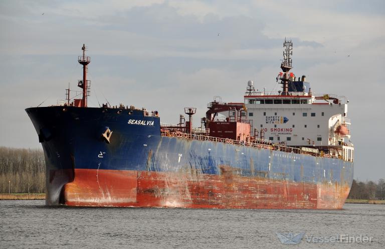 seasalvia (Chemical/Oil Products Tanker) - IMO 9629550, MMSI 229319000, Call Sign 9HA3228 under the flag of Malta