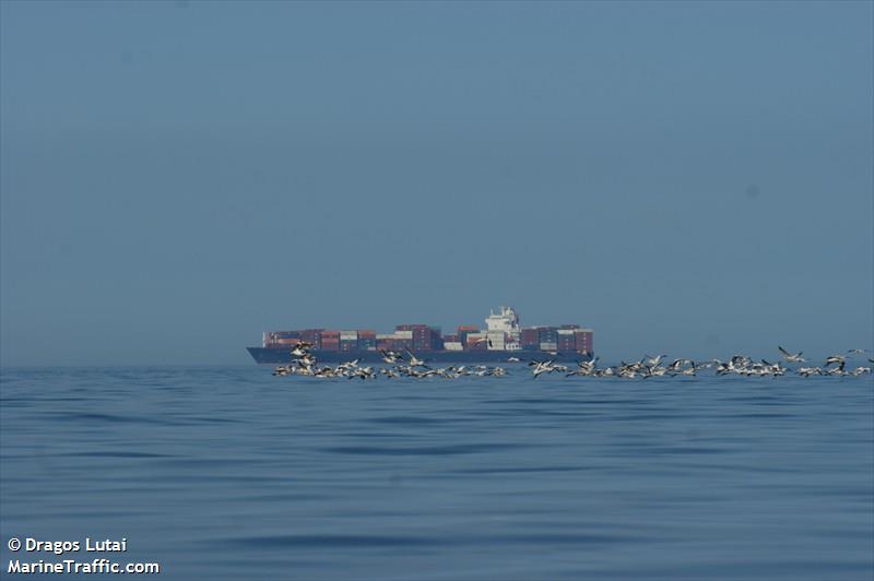 xiamen (Container Ship) - IMO 9318151, MMSI 235010440, Call Sign MLCA2 under the flag of United Kingdom (UK)