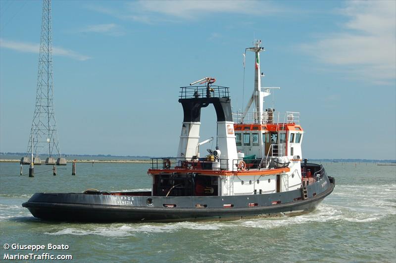 hippos (Tug) - IMO 8422058, MMSI 247116300, Call Sign IJHO under the flag of Italy