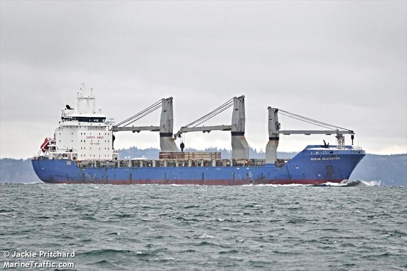 ocean gladiator (General Cargo Ship) - IMO 9418987, MMSI 338446000, Call Sign KOGC under the flag of USA