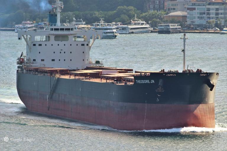 theodore jr (Bulk Carrier) - IMO 9739020, MMSI 351809000, Call Sign 3ELC4 under the flag of Panama