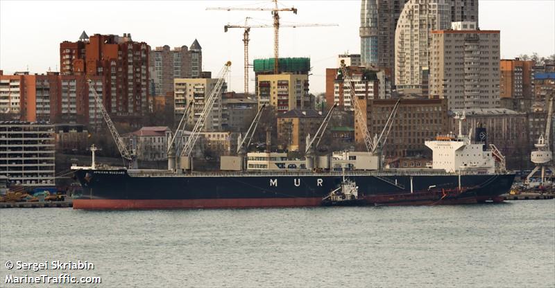 african buzzard (Bulk Carrier) - IMO 9720225, MMSI 352861000, Call Sign 3FWL3 under the flag of Panama