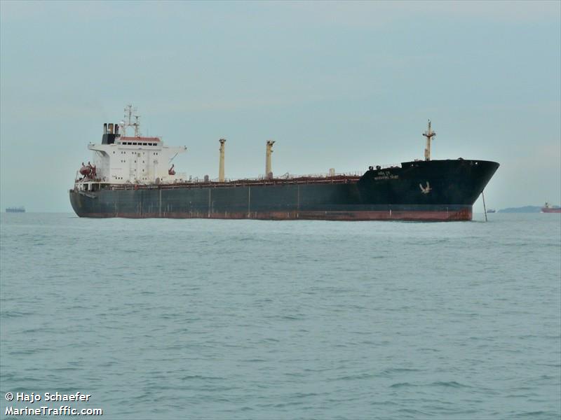 hl vision (Bulk Carrier) - IMO 9490909, MMSI 355307000, Call Sign 3EYA4 under the flag of Panama