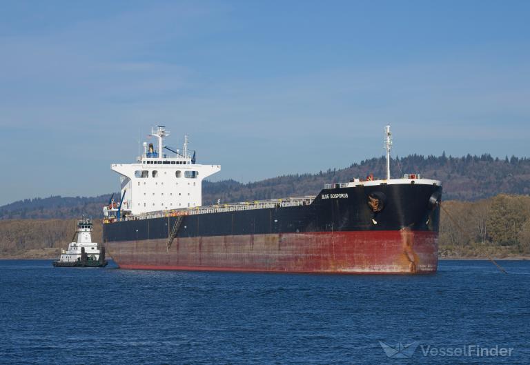 blue bosporus (Bulk Carrier) - IMO 9370185, MMSI 370400000, Call Sign 3FNX7 under the flag of Panama