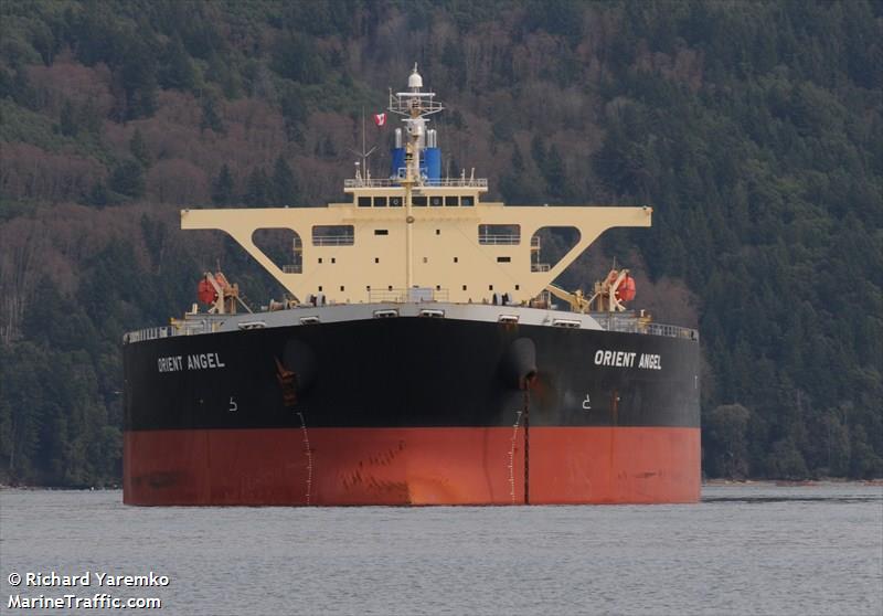 orient angel (Bulk Carrier) - IMO 9384916, MMSI 372897000, Call Sign 3ELB under the flag of Panama