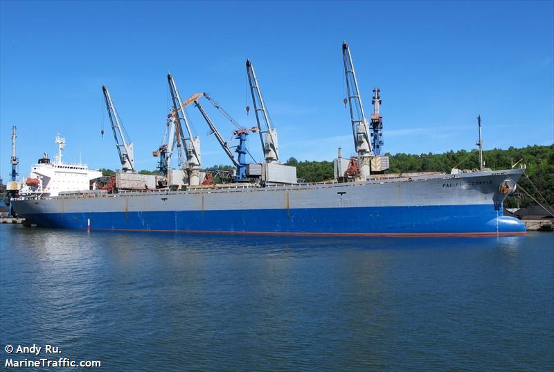 pacific selina (Bulk Carrier) - IMO 9116694, MMSI 374294000, Call Sign 3FBV5 under the flag of Panama