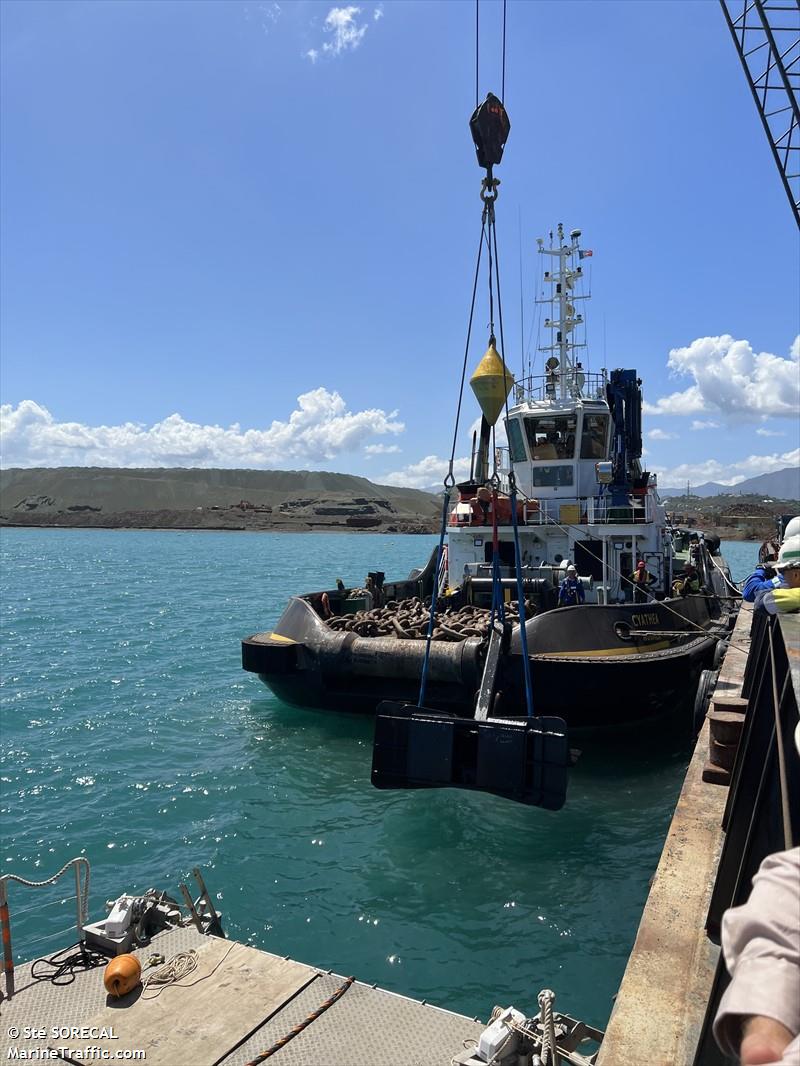 cyathea (Tug) - IMO 9901520, MMSI 376927000, Call Sign J8B6001 under the flag of St Vincent & Grenadines