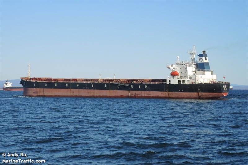 tai hang 1 (Bulk Carrier) - IMO 9137131, MMSI 413955000, Call Sign BDTQ under the flag of China