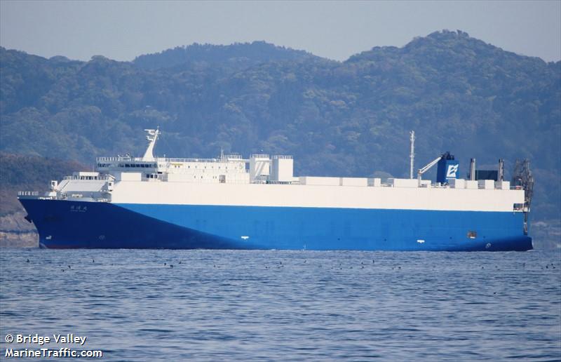 nissei maru (Vehicles Carrier) - IMO 9609196, MMSI 431004083, Call Sign JD3390 under the flag of Japan