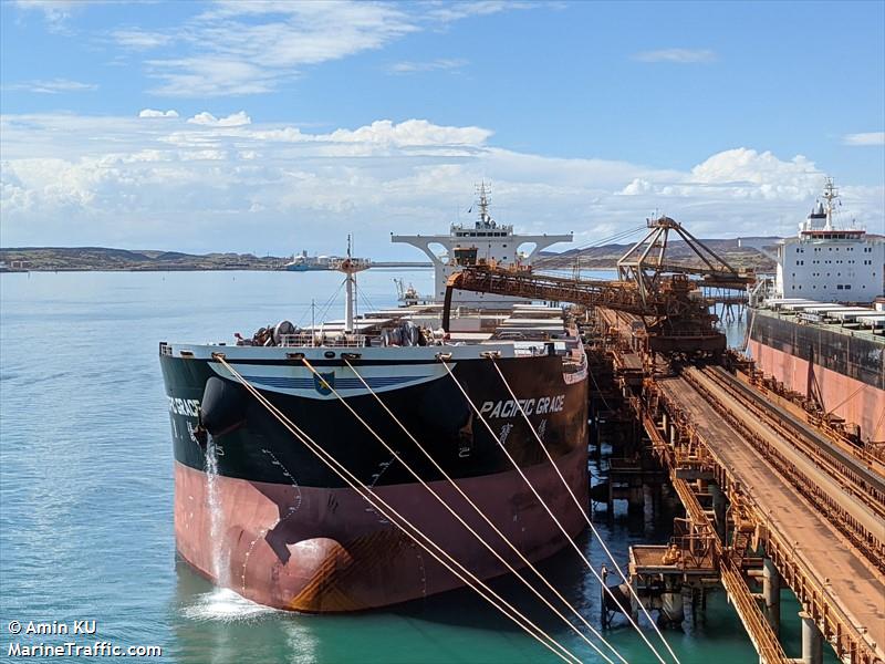 pacific grace (Bulk Carrier) - IMO 9759965, MMSI 477131200, Call Sign VROG9 under the flag of Hong Kong