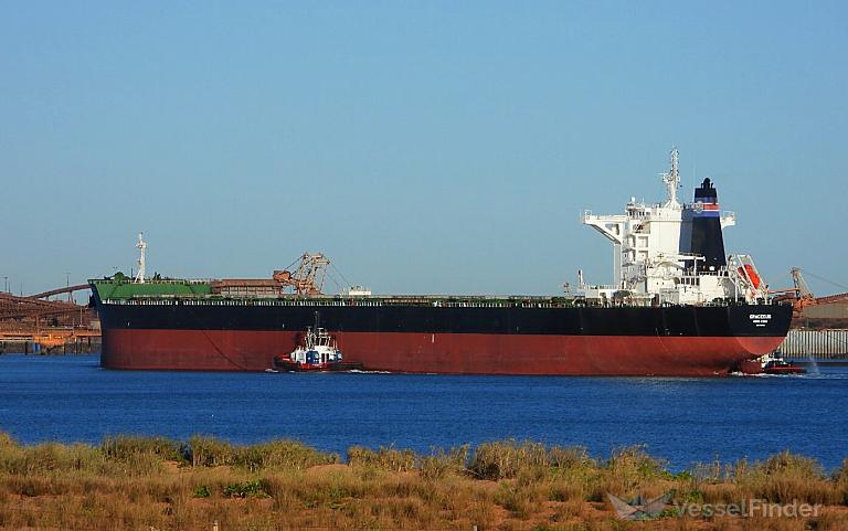 graceous (Bulk Carrier) - IMO 9751119, MMSI 477139700, Call Sign VRQP4 under the flag of Hong Kong