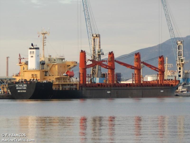 ak halima (Bulk Carrier) - IMO 9217826, MMSI 314711000, Call Sign 8PGO9 under the flag of Barbados