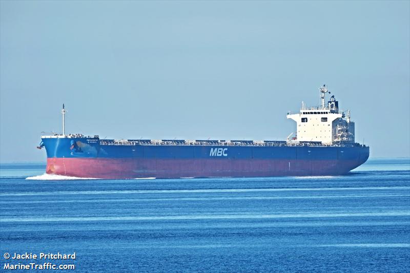 pan navigator (Bulk Carrier) - IMO 9805685, MMSI 636022187, Call Sign 5LHO7 under the flag of Liberia