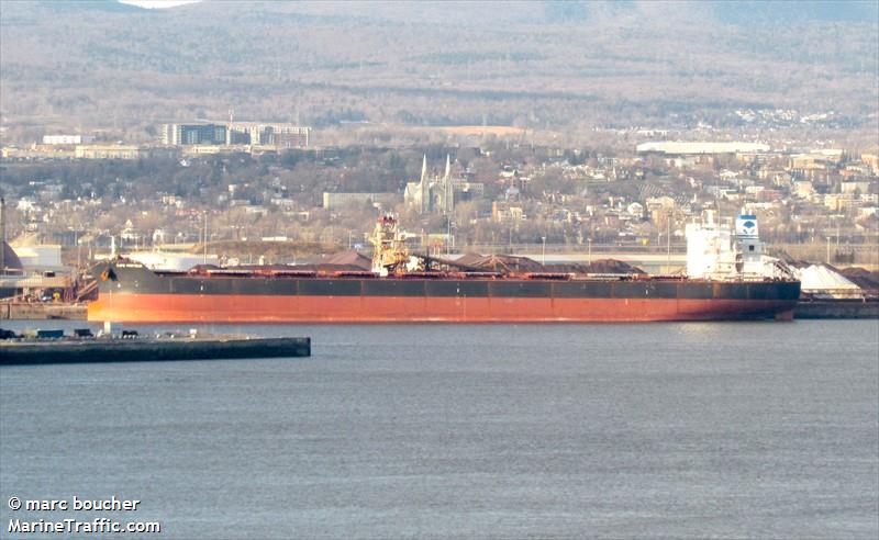 cape proteus (Bulk Carrier) - IMO 9460655, MMSI 636022491, Call Sign 5LJB2 under the flag of Liberia