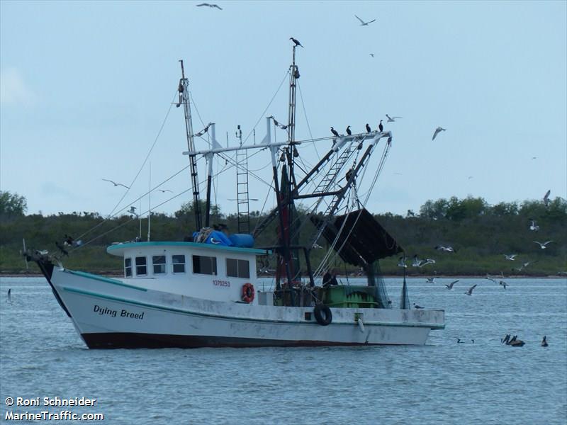 dying breed (Fishing vessel) - IMO , MMSI 367533870 under the flag of United States (USA)
