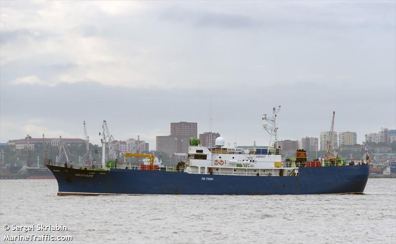 merlang (Fishing Vessel) - IMO 8717192, MMSI 273450870, Call Sign UBRS7 under the flag of Russia