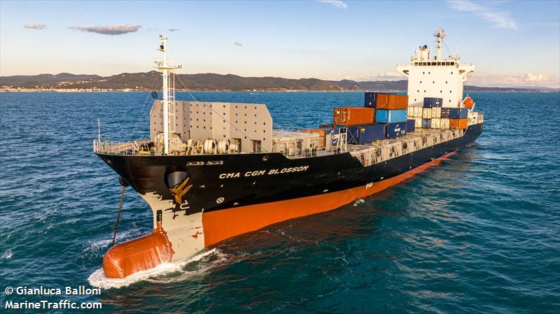 feeder blossom (Container Ship) - IMO , MMSI 352001685, Call Sign 3E2706 under the flag of Panama