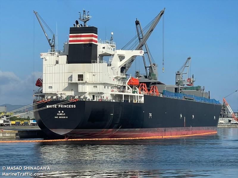 white princess (Wood Chips Carrier) - IMO 9932816, MMSI 431850000, Call Sign 7KOA under the flag of Japan