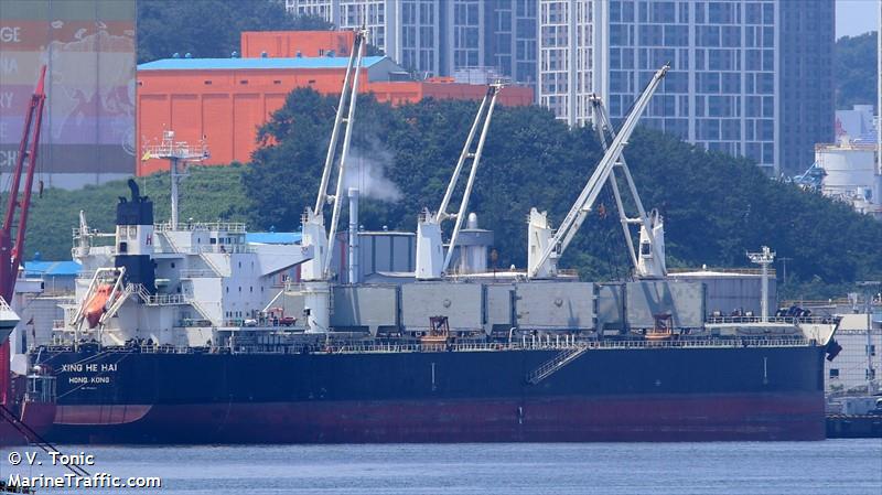 xing he hai (Bulk Carrier) - IMO 9746035, MMSI 563177600, Call Sign 9V8298 under the flag of Singapore