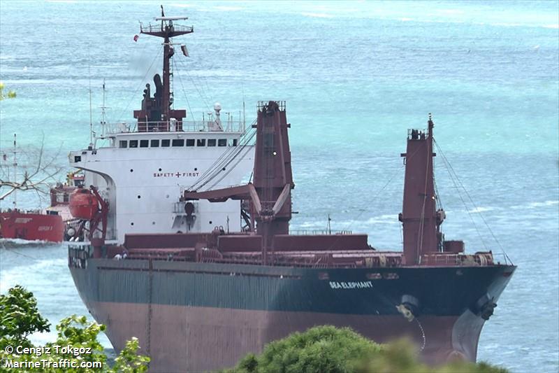 sea elephant (General Cargo Ship) - IMO 9175872, MMSI 511100881, Call Sign T8A4098 under the flag of Palau