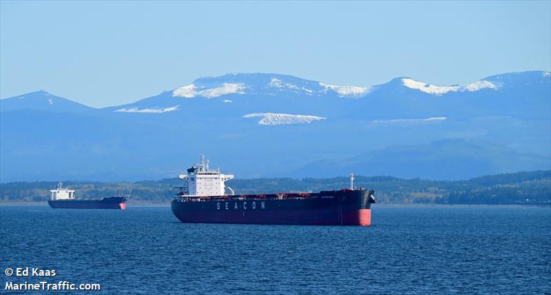 seacon nola (Bulk Carrier) - IMO 9936264, MMSI 636022554, Call Sign 5LJJ4 under the flag of Liberia