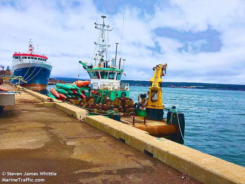 dominion warrior (Tug) - IMO , MMSI 316039377 under the flag of Canada