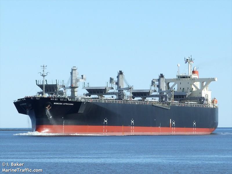 diamond trader (Bulk Carrier) - IMO 9936783, MMSI 548737000, Call Sign DYKZ under the flag of Philippines
