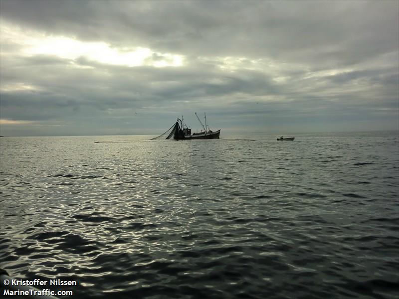 sprattus (Fishing vessel) - IMO , MMSI 257072440, Call Sign LDFW under the flag of Norway