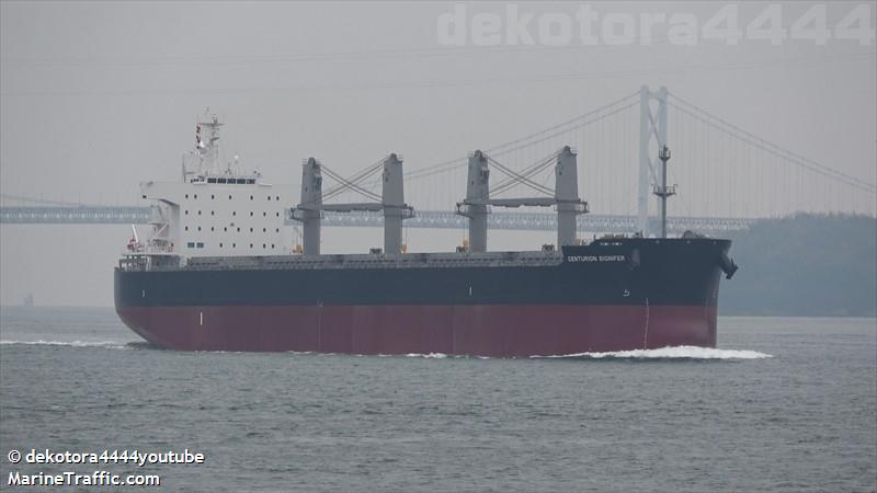 centurion signifer (Bulk Carrier) - IMO 9951898, MMSI 352002288, Call Sign 3E3505 under the flag of Panama