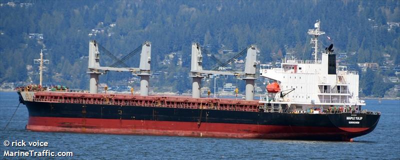 maple tulip (General Cargo Ship) - IMO 9536997, MMSI 246963000, Call Sign PFVO under the flag of Netherlands