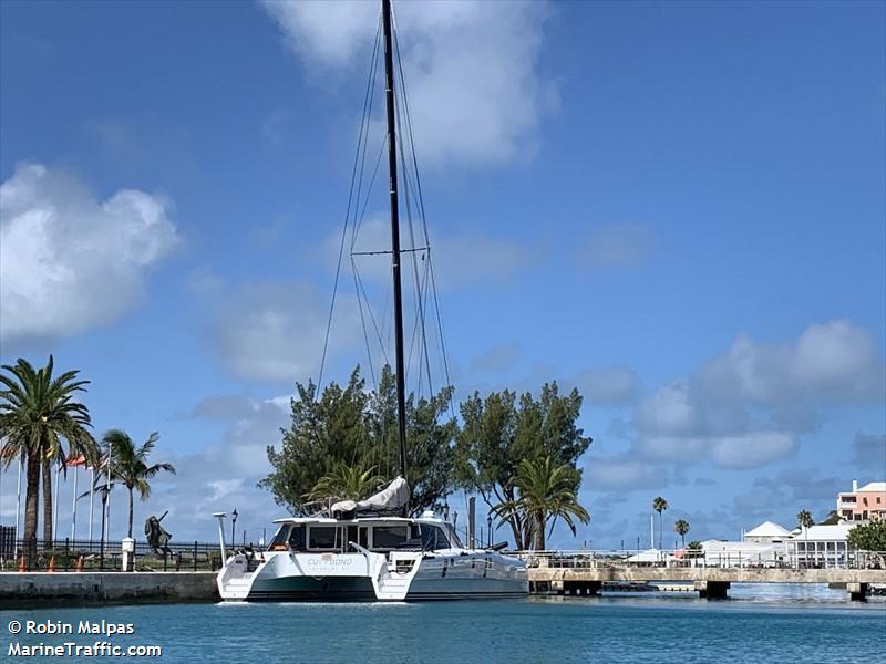 cui bono (Sailing vessel) - IMO , MMSI 368297050, Call Sign WDN6214 under the flag of United States (USA)