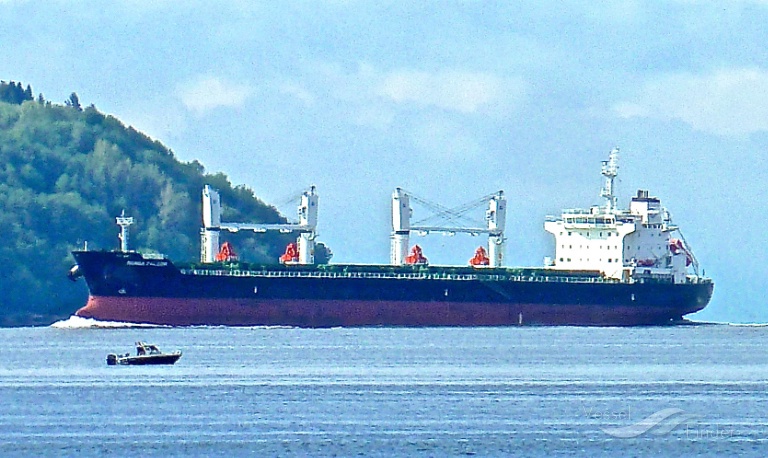 densa falcon (Bulk Carrier) - IMO 9649081, MMSI 229203000, Call Sign 9HA3147 under the flag of Malta