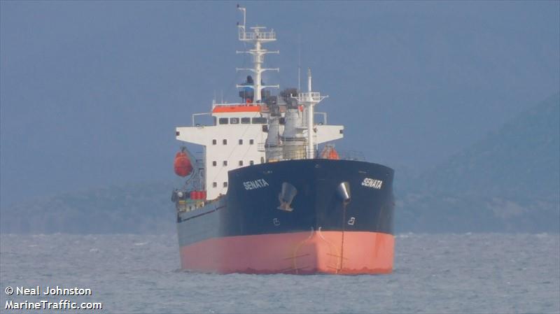 senata (Bulk Carrier) - IMO 9451575, MMSI 253683000, Call Sign LXSL under the flag of Luxembourg
