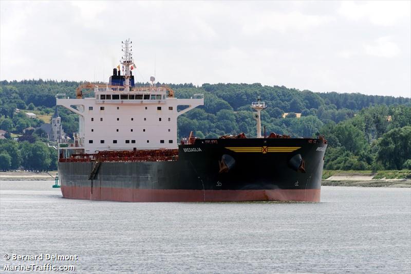 bregaglia (Bulk Carrier) - IMO 9694945, MMSI 269084000, Call Sign HBDU under the flag of Switzerland