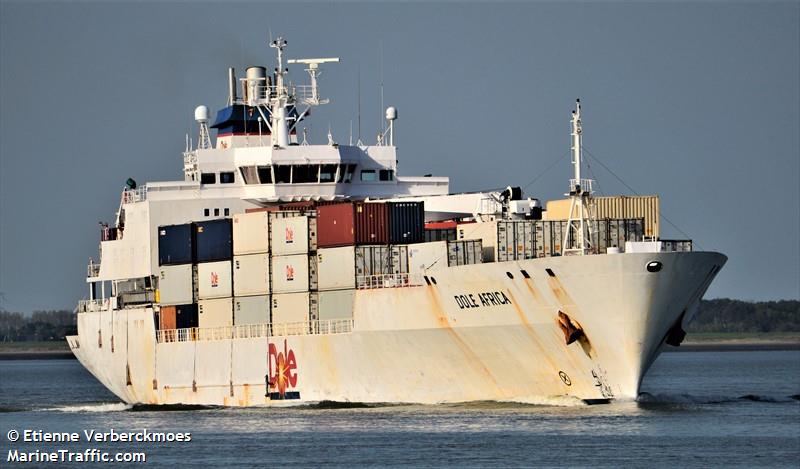 dole africa (Refrigerated Cargo Ship) - IMO 9046538, MMSI 311294000, Call Sign C6FS3 under the flag of Bahamas