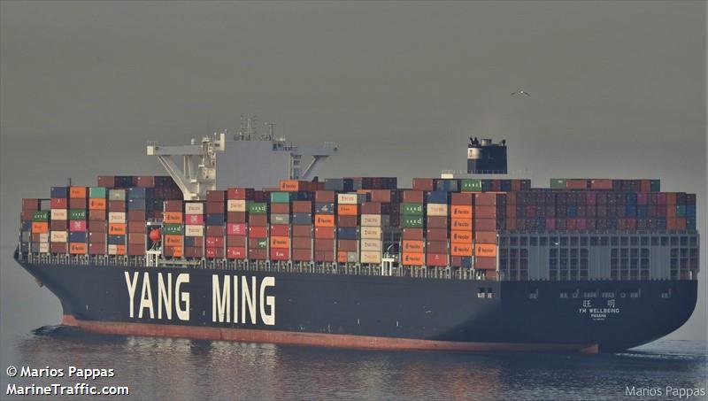 ym wellbeing (Container Ship) - IMO 9820908, MMSI 355563000, Call Sign HPFB under the flag of Panama