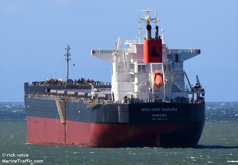 brilliant sakura (Bulk Carrier) - IMO 9867413, MMSI 356008000, Call Sign HPOM under the flag of Panama